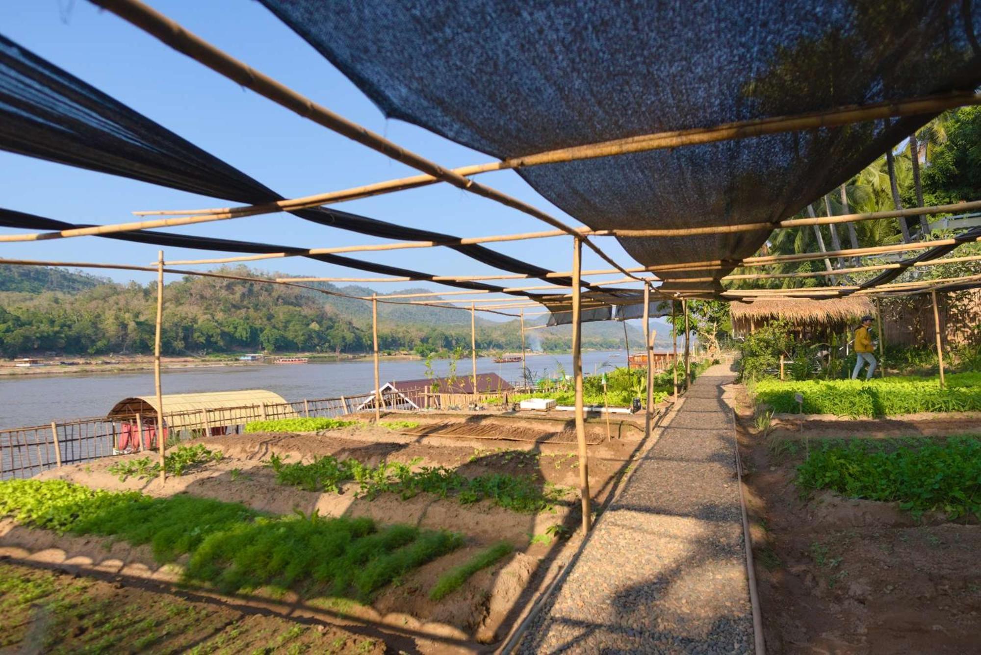 The Belle Rive Boutique Hotel Luang Prabang Exterior photo